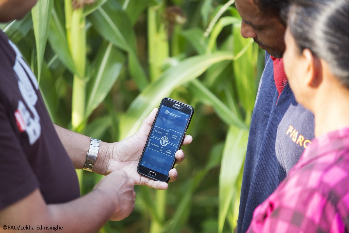 FAOKnowledge's tweet image. 📢 Call is open now! 

We invite your organization to submit successful agricultural practices and technologies that can help smallholder farmers and producers to overcome the current challenges.

More info👉🏼teca.apps.fao.org/teca/en/call

#AgInnovation #SustainableMechanization