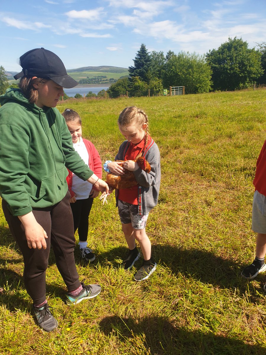 MissCameronWPS's tweet photo. Thank you Animal
Ark on The Clyde for a lovely day and for letting us meet all the animals! 🐴 🐔 🐑 https://t.co/BayYmL7lwS