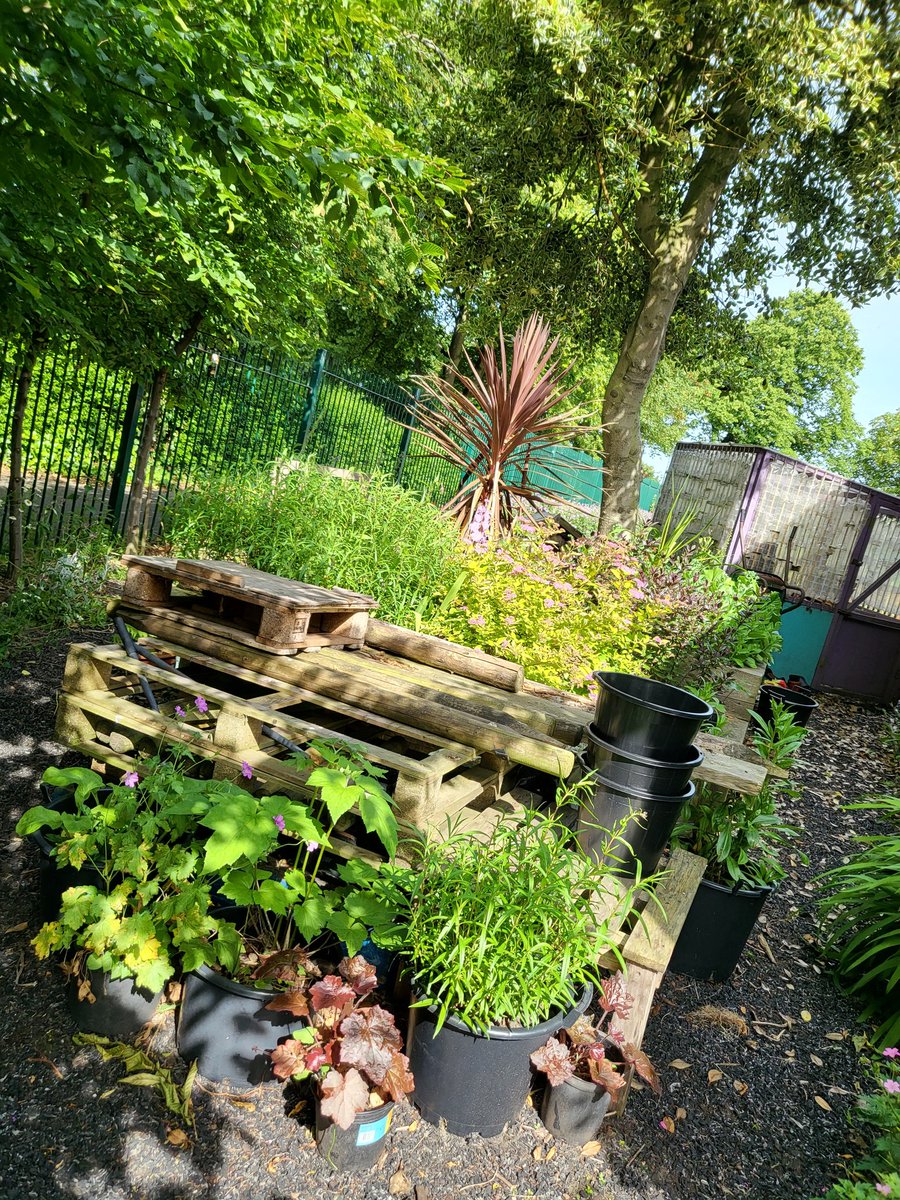 @TheL21Network tweet media