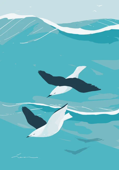 海鳥のワルツ 