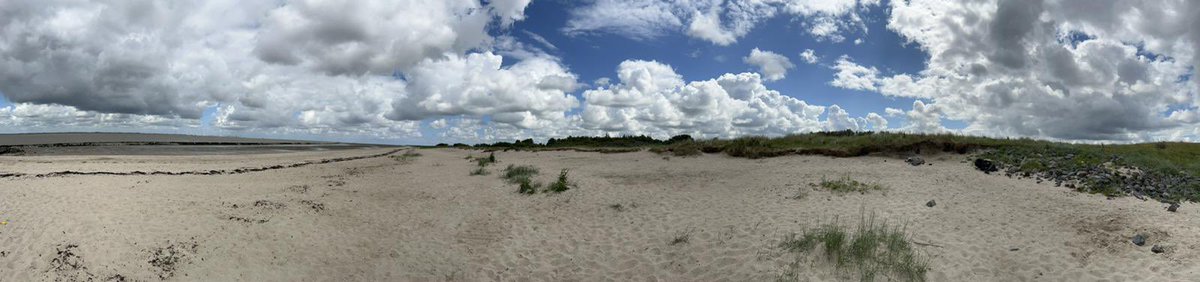 MaKoLine's tweet image. Erholung pur