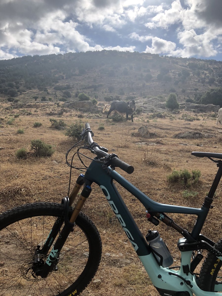 Francisco_Aznar's tweet photo. La presentación más salvaje, Škoda Karoq en colaboración con Orbea #KaroqyOrbea https://t.co/ItvtcE2JUD