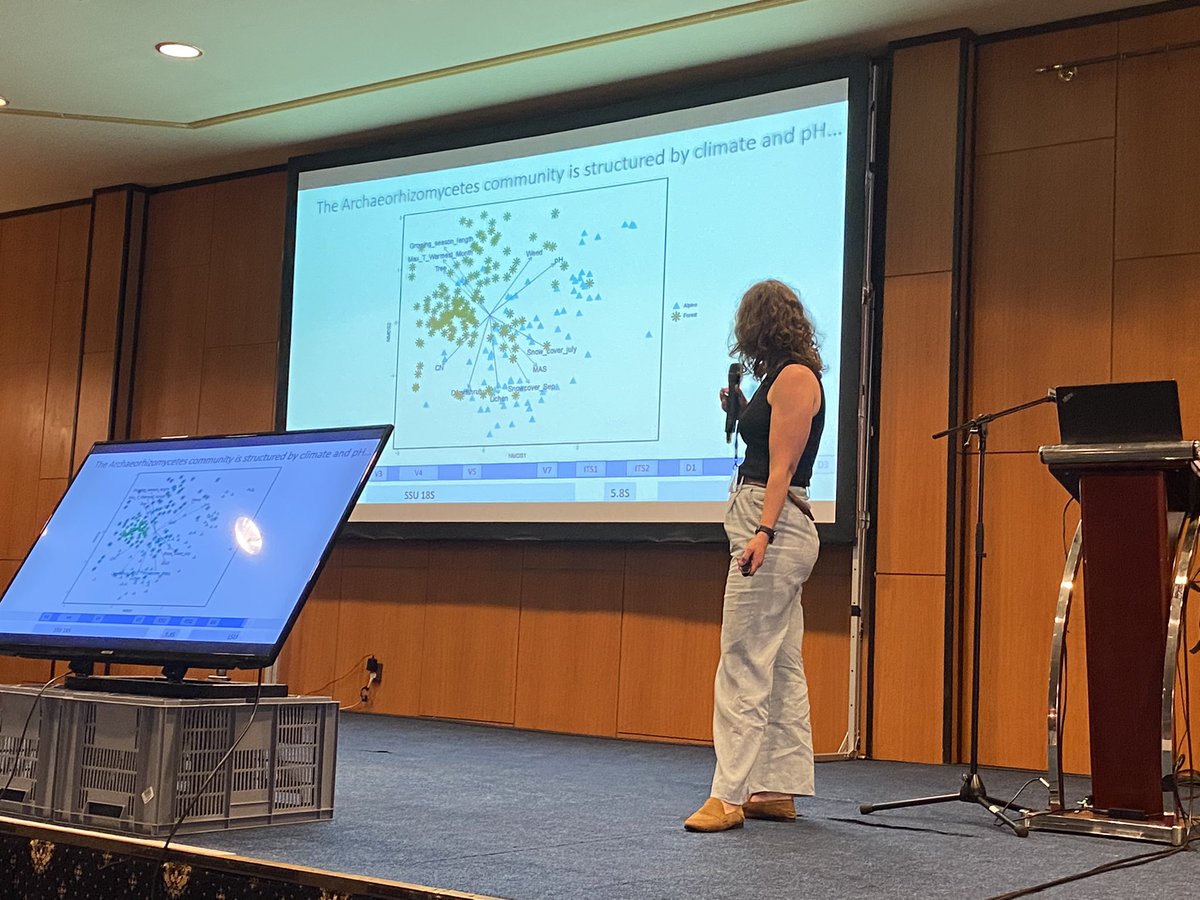 Archaeorhizomycetes are much more diverse than known number of species. Need to find appropriate sampling sites and gene markers. Cool talk from <a href="/ellathoen/">ellathoen</a> at <a href="/ecology_soil/">Ecology of Soil Microorganisms</a>. @DrHyfe @RoslingLab <a href="/Oslo_Mycology/">Oslo_Mycology_Group</a>