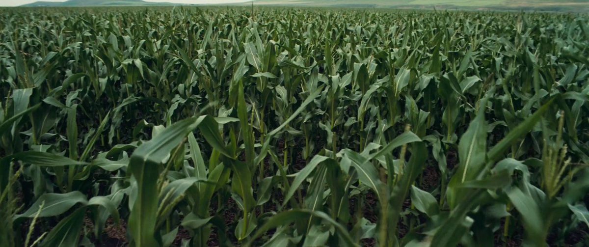 frames_is's tweet photo. Interstellar - Frame 2046 out of 243211 https://t.co/g0whqCxHP5