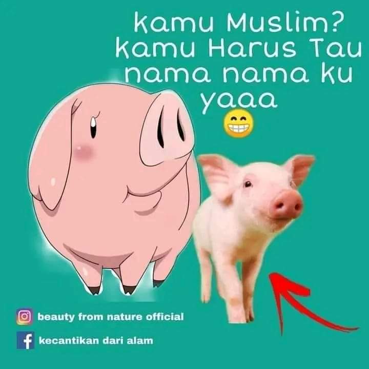 Amel tweet media