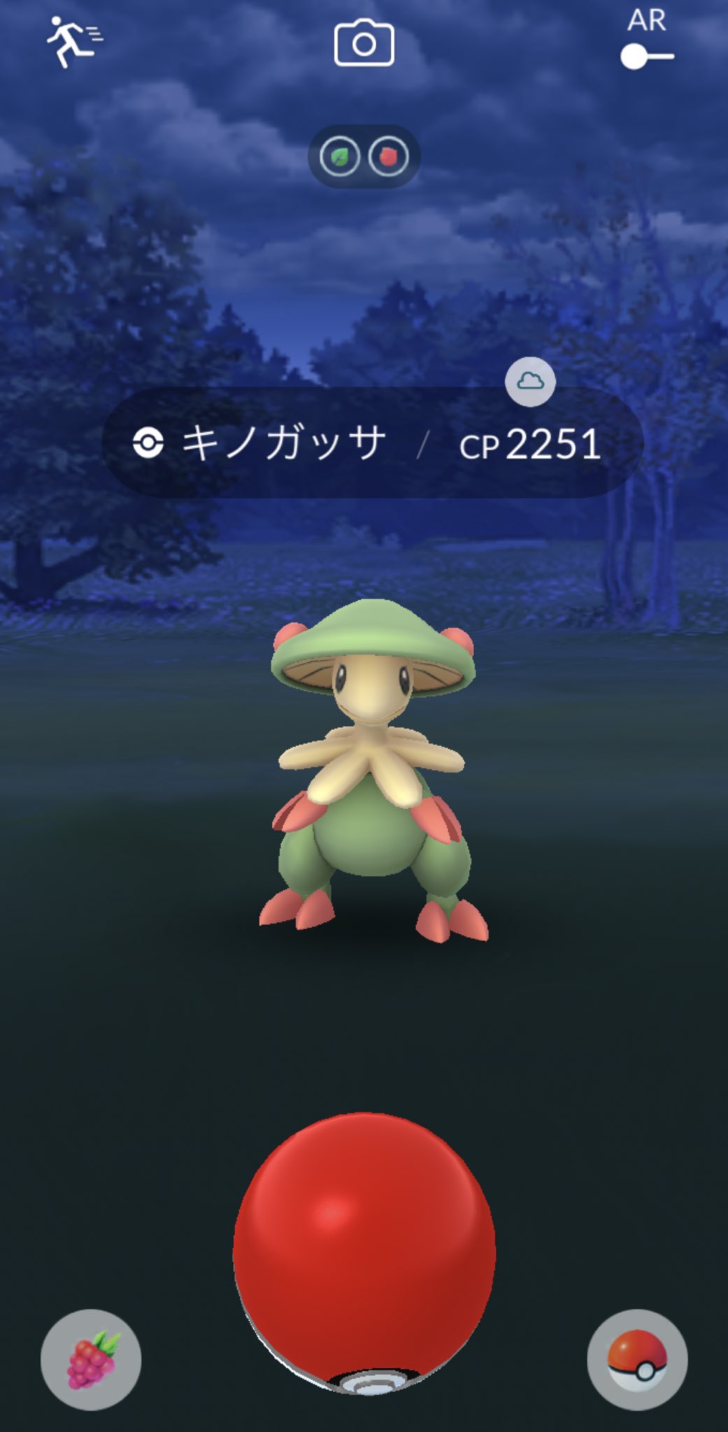 キノガッサ Twitter Search Twitter