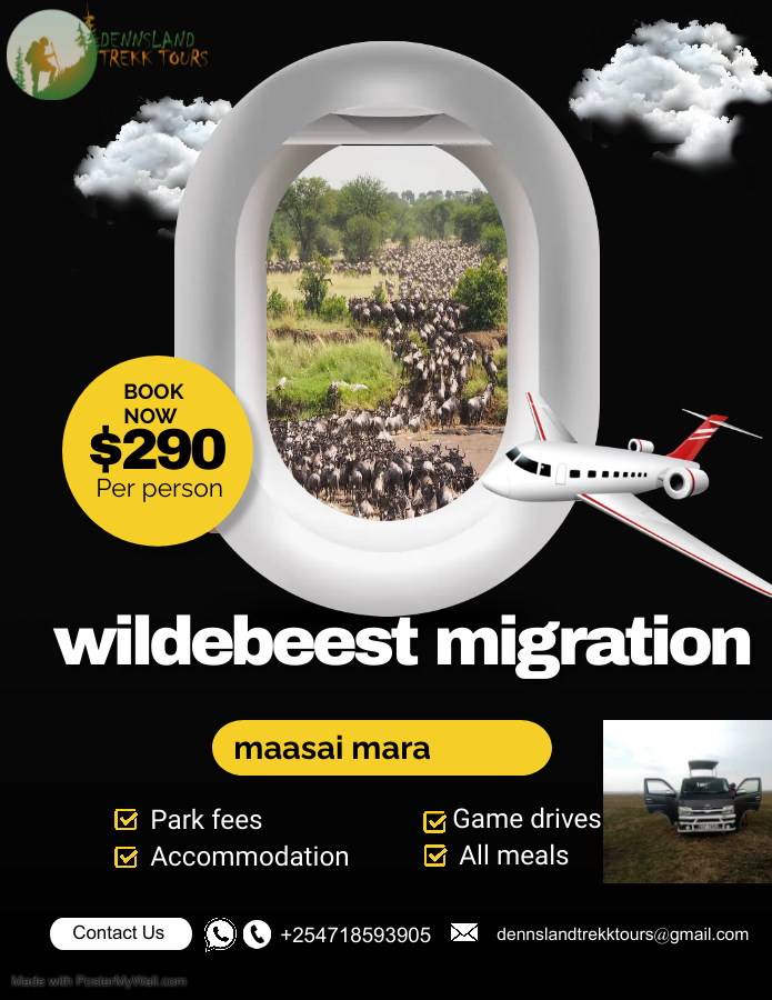 trekktours's tweet photo. great migration coming soon in Maasai mara you can book your chance today bookings on progress.
https://t.co/AUCFvtSgcQ https://t.co/u1i7tVdz0G