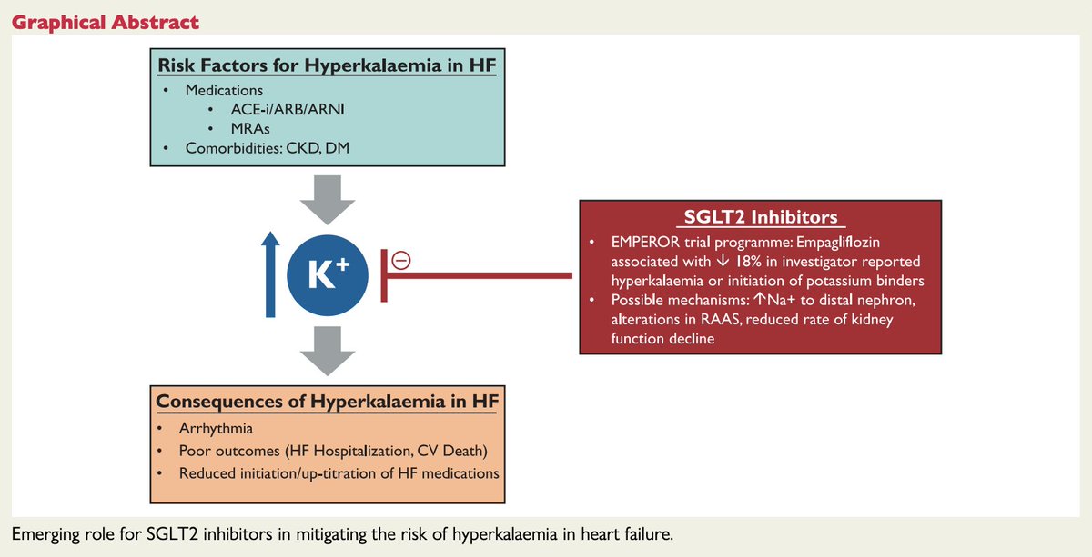 ESC_Journals's tweet photo. Emerging role for #SGLT2 inhibitors in mitigating the risk of hyperkalaemia in heart failure https://t.co/P6uWoAcmdi 

@ehj_ed @rladeiraslopes #EHJ #ESCYoung https://t.co/5ah8sspbWi