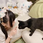 Image for the Tweet beginning: まほちゃんの猫ヨルくん💛
めっちゃ可愛い🥰❣️ 