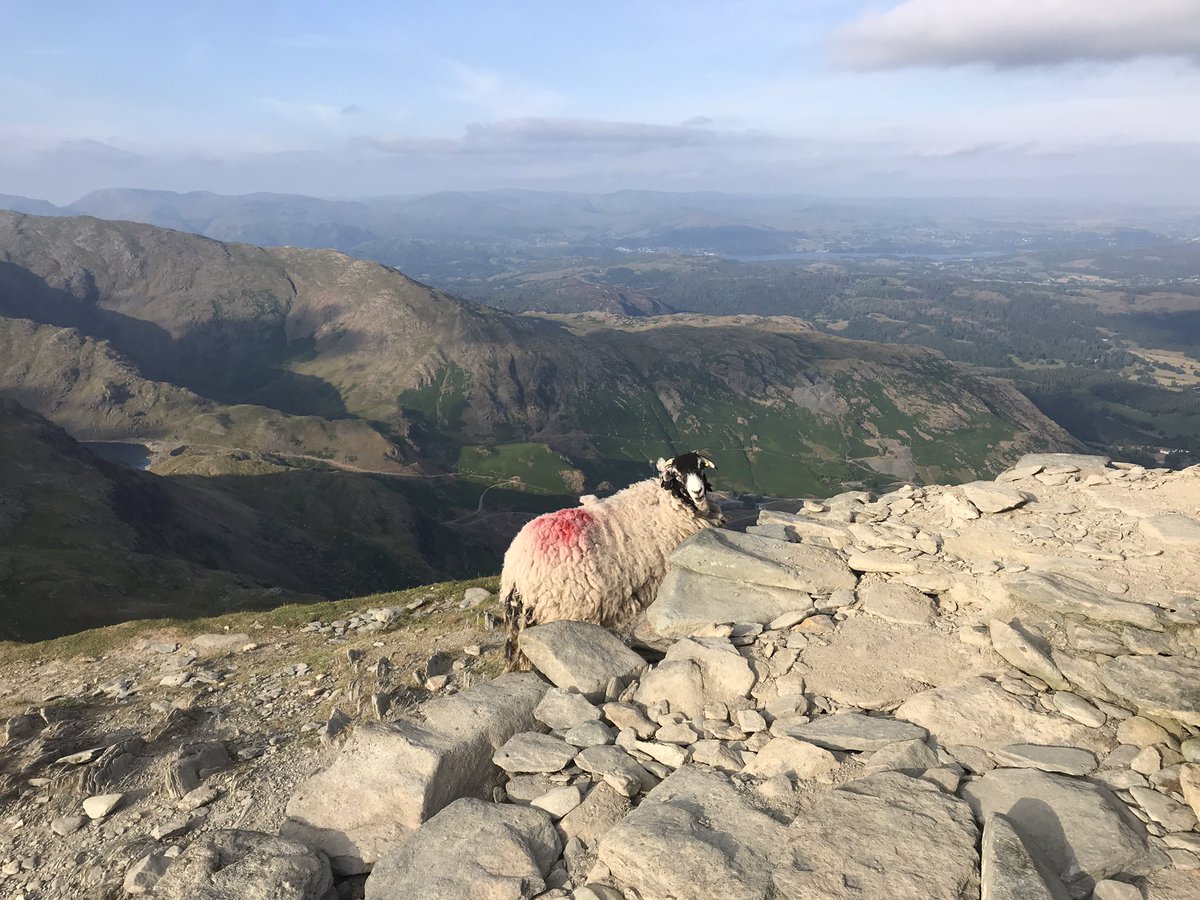 ProudHoppers's tweet photo. Barrow is located in the SW corner of Cumbria next to the stunning Lake District, but in 1972 they were still in Lancashire as the county boundaries hadn’t been changed. Nearby is the highest point in old Lancashire - the ‘Old Man of Coniston’, which I had to visit for the views https://t.co/lQsBqYnbRA