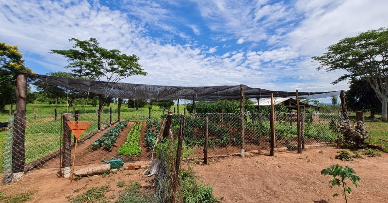 UNOPS_es's tweet photo. #Paraguay: Un proyecto de huertas familiares está ayudando a mejorar la seguridad alimentaria y a empoderar económicamente a las mujeres que son cabeza de familia. El 90% de las personas beneficiarias del proyecto son mujeres.