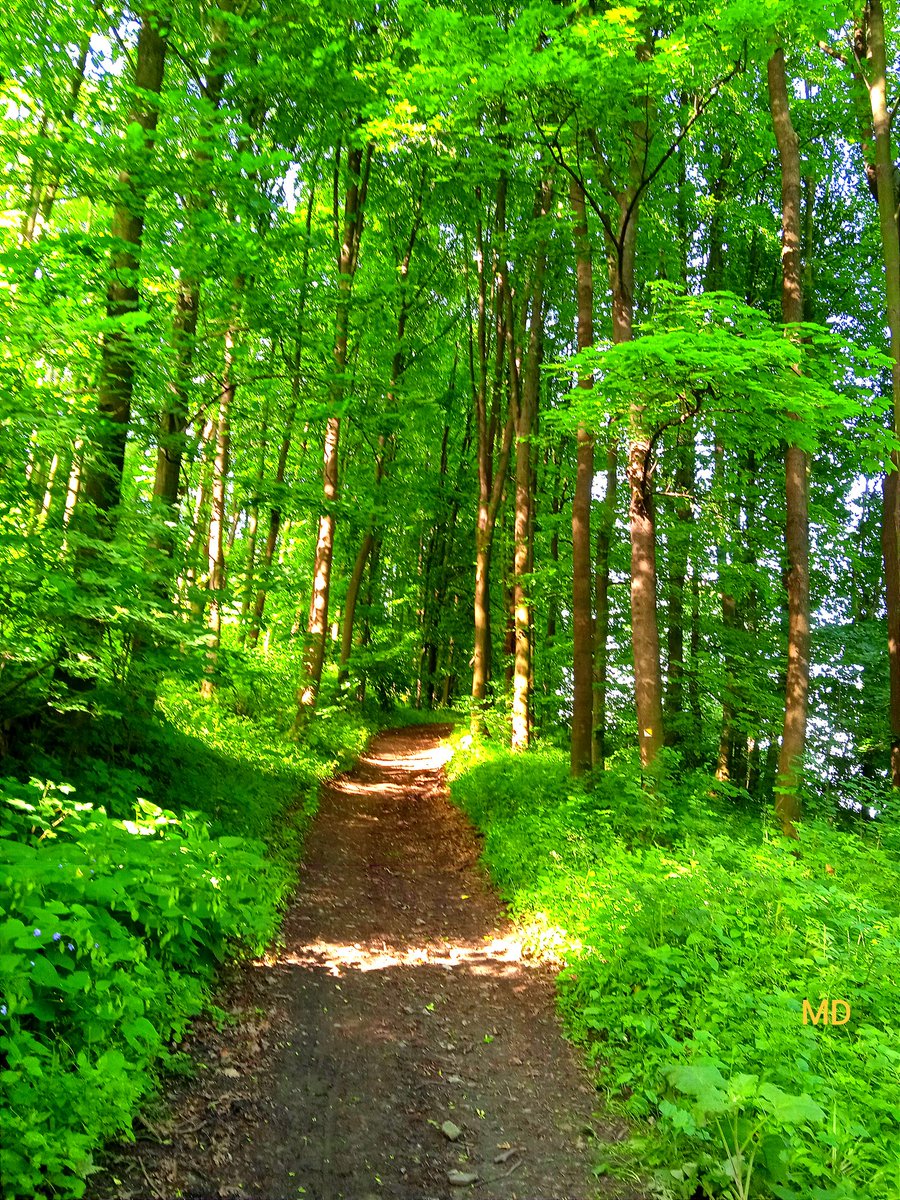 Martina Dvorská tweet media