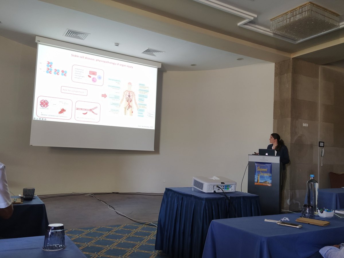 Lubka Roumenina (@roumenina) on Twitter photo Proud again today by the great presentation of my PhD student Anne Grunewald <a href="/palheox/">Anne Grunenwald</a> on #complementbiology, heme and #SickleCellDisease
At 14th International
<a href="/AegeanConf/">Aegean Conferences</a> on Complement Therapeutics #Rhodes Proud again today by the great presentation of my PhD student Anne Grunewald <a href="/palheox/">Anne Grunenwald</a> on #complementbiology, heme and #SickleCellDisease
At 14th International
<a href="/AegeanConf/">Aegean Conferences</a> on Complement Therapeutics #Rhodes