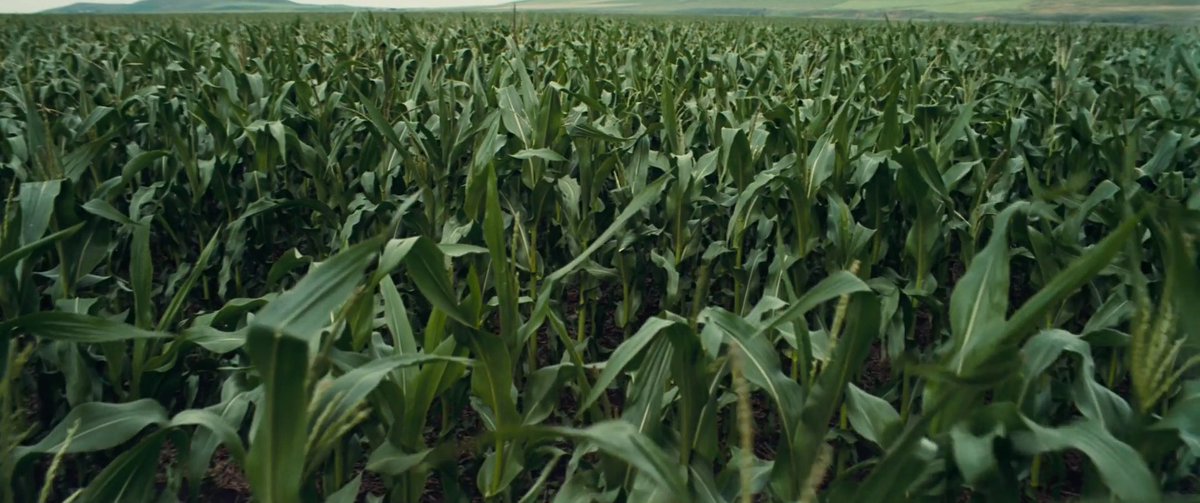 frames_is's tweet photo. Interstellar - Frame 2048 out of 243211 https://t.co/892vrTXlqI