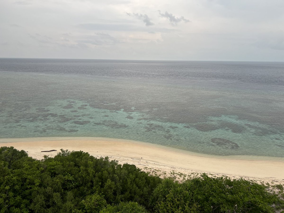 tisoy_chinito18's tweet photo. 4 days and 3 nights well spent here at Apo Reef Natural Park, Sablayan, Occidental Mindoro 🥰🥰🥰 #freediving #restdaybelike #happiness #travelpinas #travelphotography #explorephilippines #exploreph #comeseeph #vitaminsea https://t.co/lE6AtVPUt4