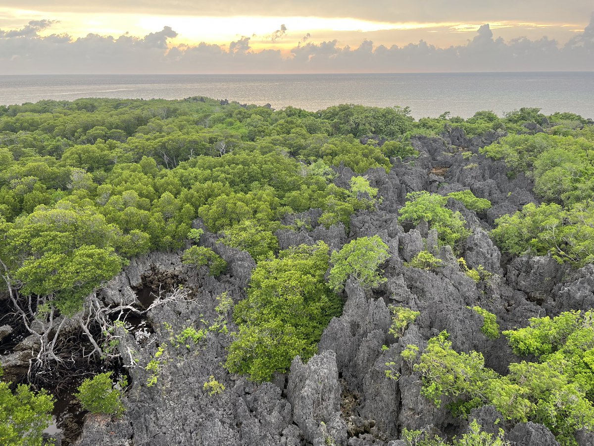 tisoy_chinito18's tweet photo. 4 days and 3 nights well spent here at Apo Reef Natural Park, Sablayan, Occidental Mindoro 🥰🥰🥰 #freediving #restdaybelike #happiness #travelpinas #travelphotography #explorephilippines #exploreph #comeseeph #vitaminsea https://t.co/lE6AtVPUt4