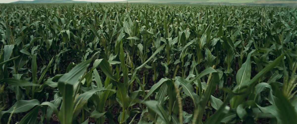 frames_is's tweet photo. Interstellar - Frame 2049 out of 243211 https://t.co/WRms6CccuT