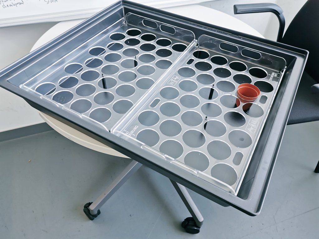Sjon Hartman (@sjonhartman) on Twitter photo Custom made trays for maximum efficiency of Arabidopsis plant growth made by biology workshop of <a href="/UniFreiburg/">Universität Freiburg</a> 😎 The trays can go straight into our submergence tubs. 🌱🌊 Loving it, very grateful! Custom made trays for maximum efficiency of Arabidopsis plant growth made by biology workshop of <a href="/UniFreiburg/">Universität Freiburg</a> 😎 The trays can go straight into our submergence tubs. 🌱🌊 Loving it, very grateful!