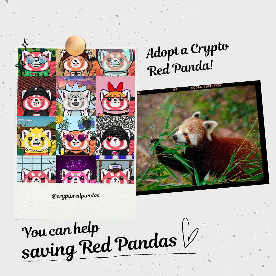 Red Panda | OpenSea (@cryptoredpandas) / Posts / X