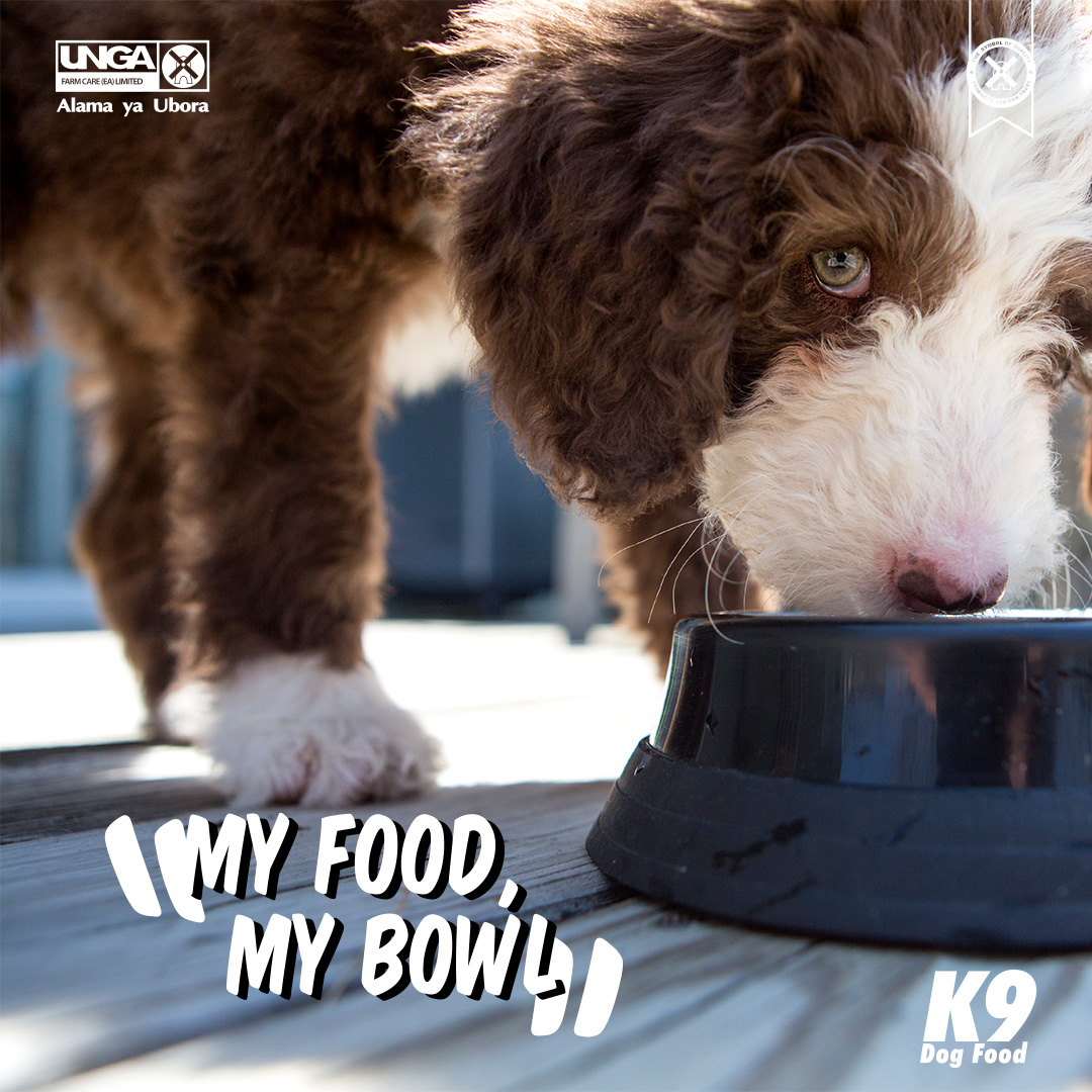 It’s best to keep dogs bowls and Human cutlery separate at all times. This significantly reduces the risk of passing bacteria from dog to owner and vice versa.
#K9DogFood #ABowlfulOfHealth