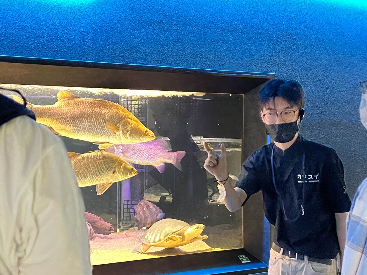 カワスイ では飼育クルーが生きものたちの解説を行っています こちらは10fオセアニア アジアゾーンの バラマンディ と スッポンモドキ の水槽の前で解説をしているところ 新たな発見をしにぜひカワスイへご来館ください 川崎水族館 川崎区 川崎区民ニュース