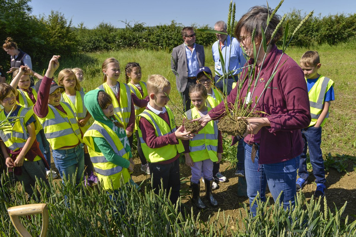 CountryTrust tweet picture