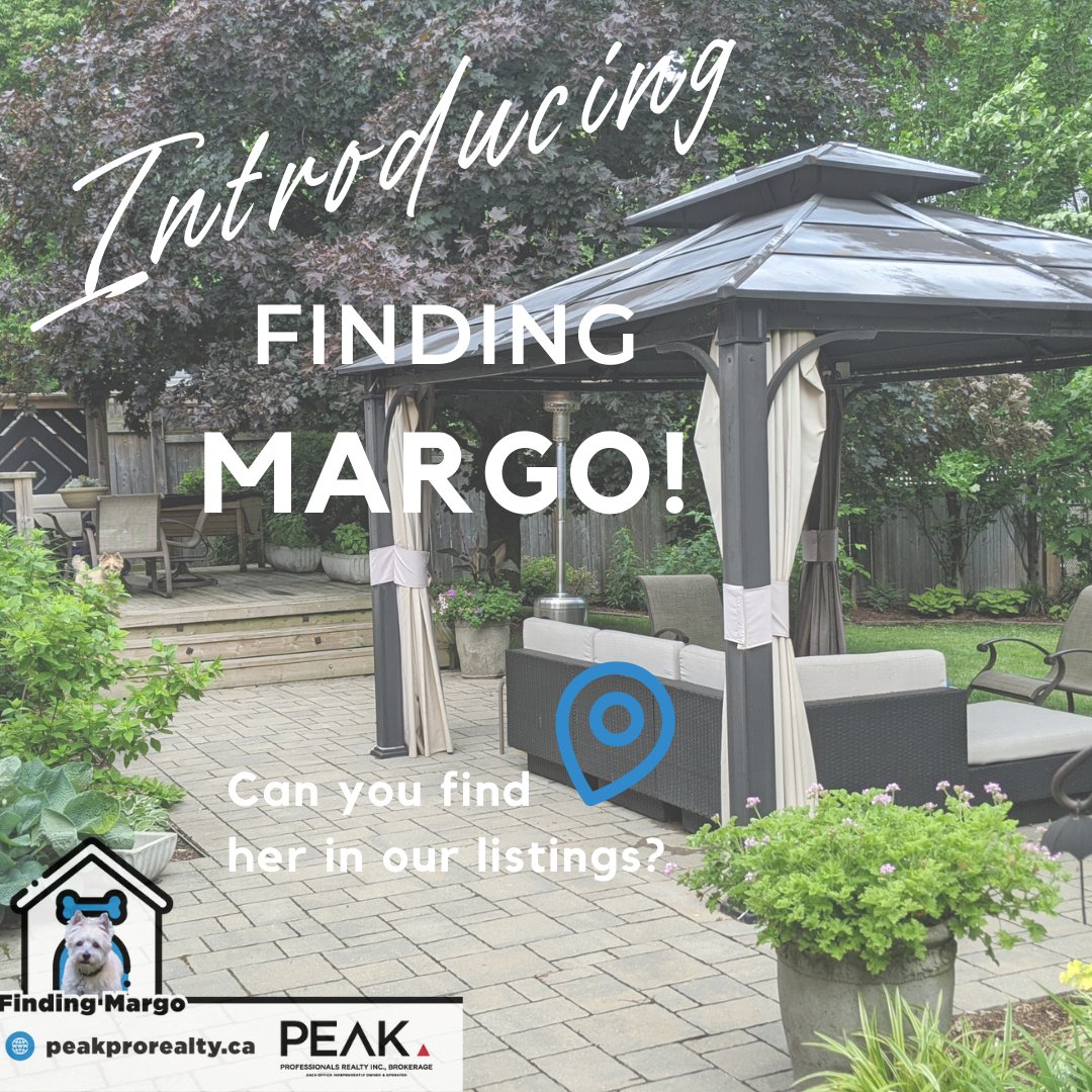 BLUEForestRE's tweet photo. The fun starts this week!  😃

We will be hiding our Assistant Manager Margo in some of our Just Listed photos!
Find Margo, and you could win!  Simply retweet our posts and you are entered to win!  

#findingmargo #cairnterrier #lostdog #justlisted #peakpro #winprizes #monday https://t.co/bHuGOnfqys