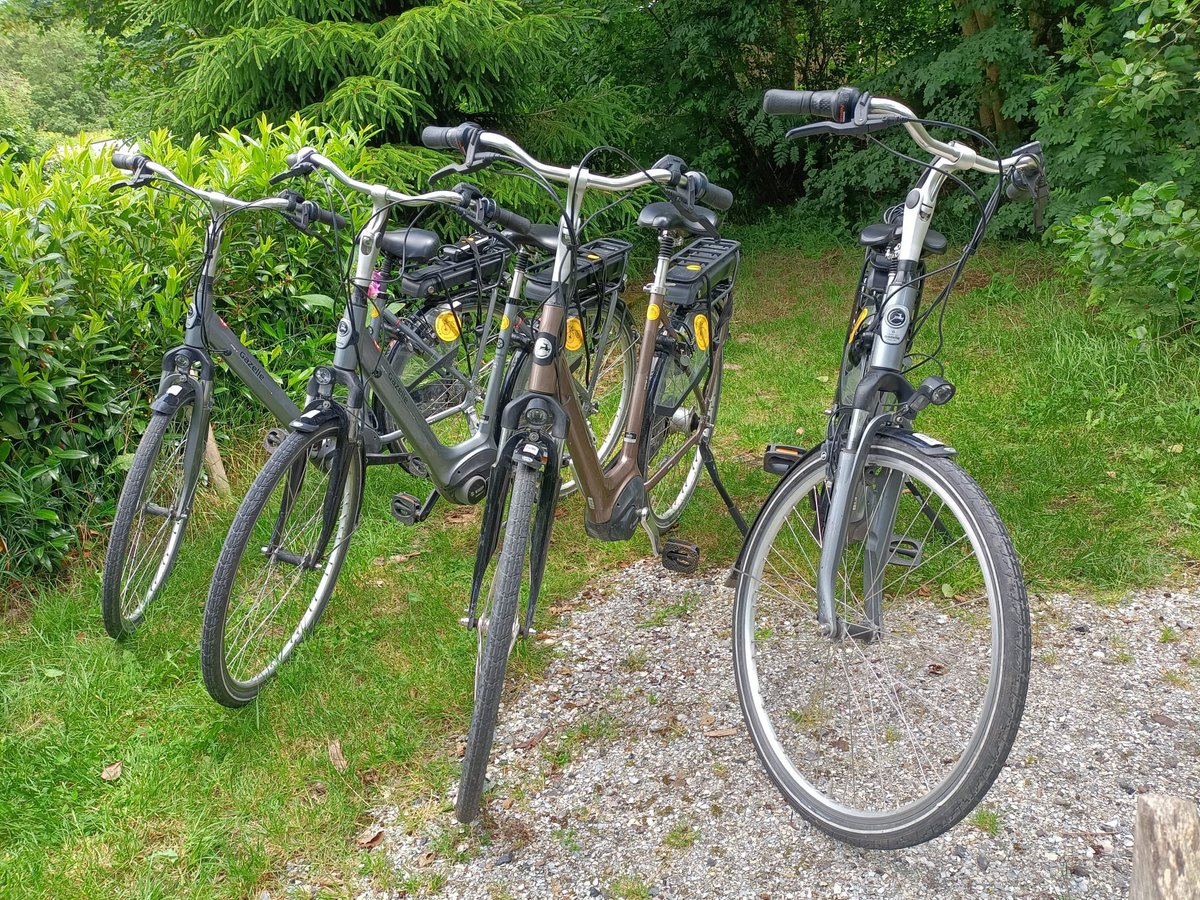 Ze zijn weer terug de gestolen fietsen 🥳

#Terschelling <a href="/lc_nl/">Leeuwarder Courant</a> #zeelenfiets