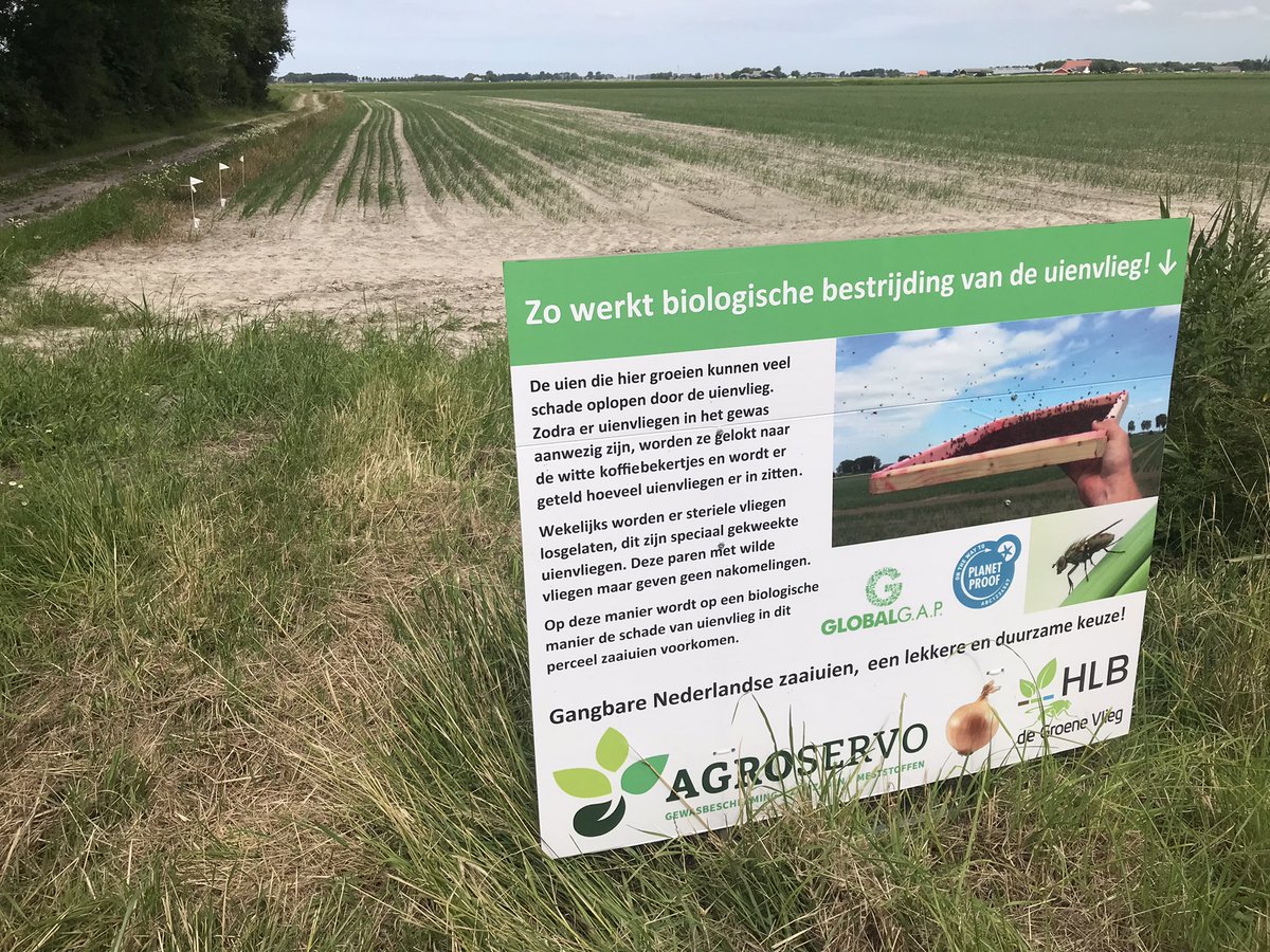 Borden geplaatst om de burgers te informeren over de bestrijding van de uienvlieg <a href="/HLBbv/">HLB</a>