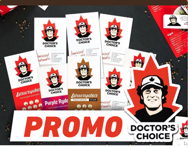 BB_Seeds's tweet photo. #nuevapromo  #2x1 por la compra de cada pack de estas variedades te llevas otro igual de 🎁 
*Válida hasta fin de existencias. 
🌱LOWRYDER AUTO (1-3)
🌱DR´SCHOICE #1 AUTO (1-3)
🌱NIAGARA AUTO (1-3-10)
🌱DC KUSH (1-3)
🌱OGRE AUTO (3)
🌱PURPLE RYDER AUTO (1)
🌱ROCK MACHINE AUTO (1) https://t.co/QAoSNTs5wm