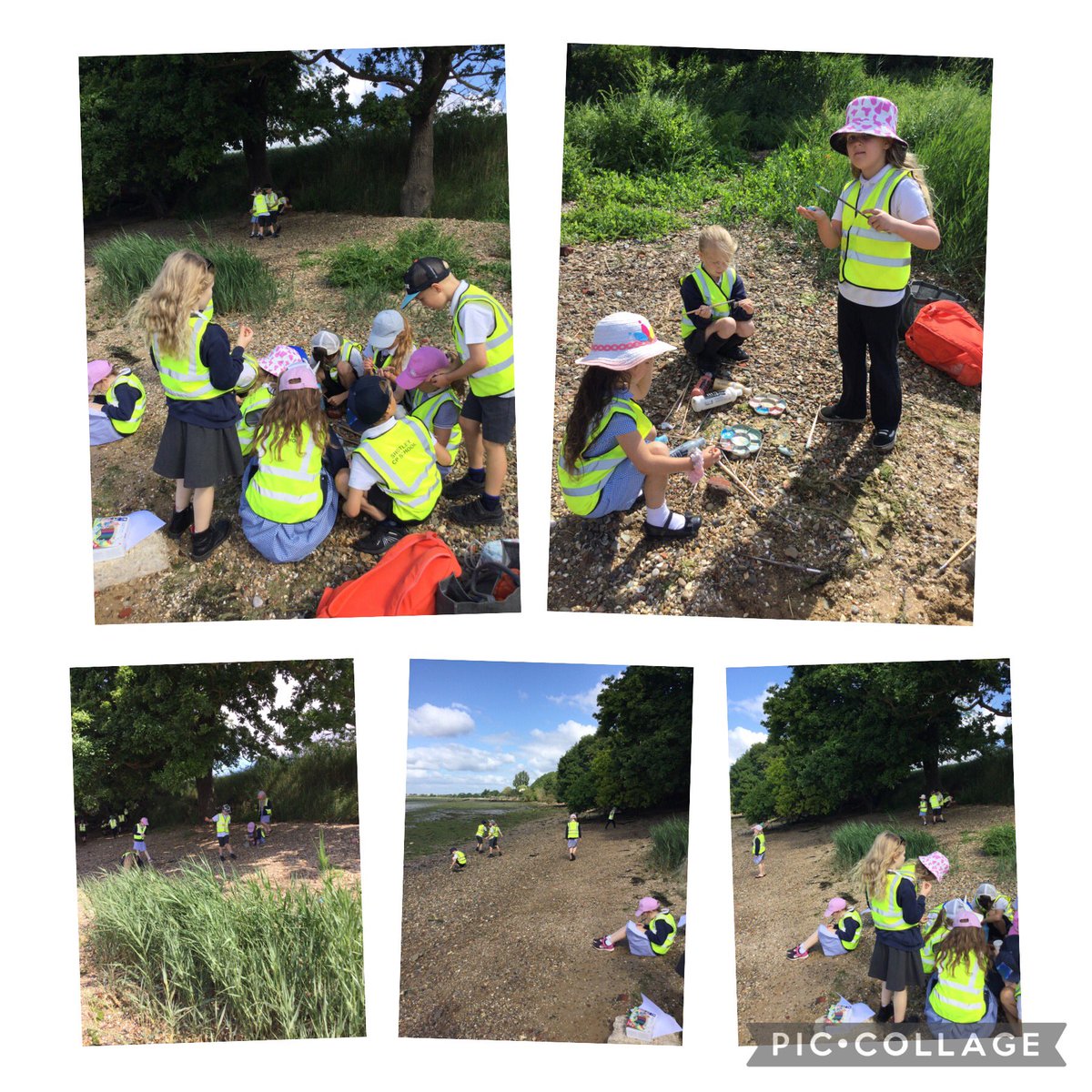 Shotley Zebras tweet media