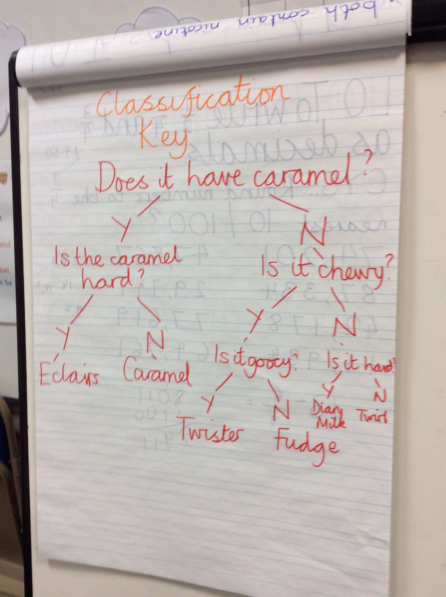 Vernon34Ks2's tweet photo. In Y3+4, we classified different chocolates using a key. Ask which of the five inquiry types we used... ππ€ππ€ #VPPSCIENCE #SCIENCESHARE #SUPERSCIENCESHARE https://t.co/lK8pitBi9q