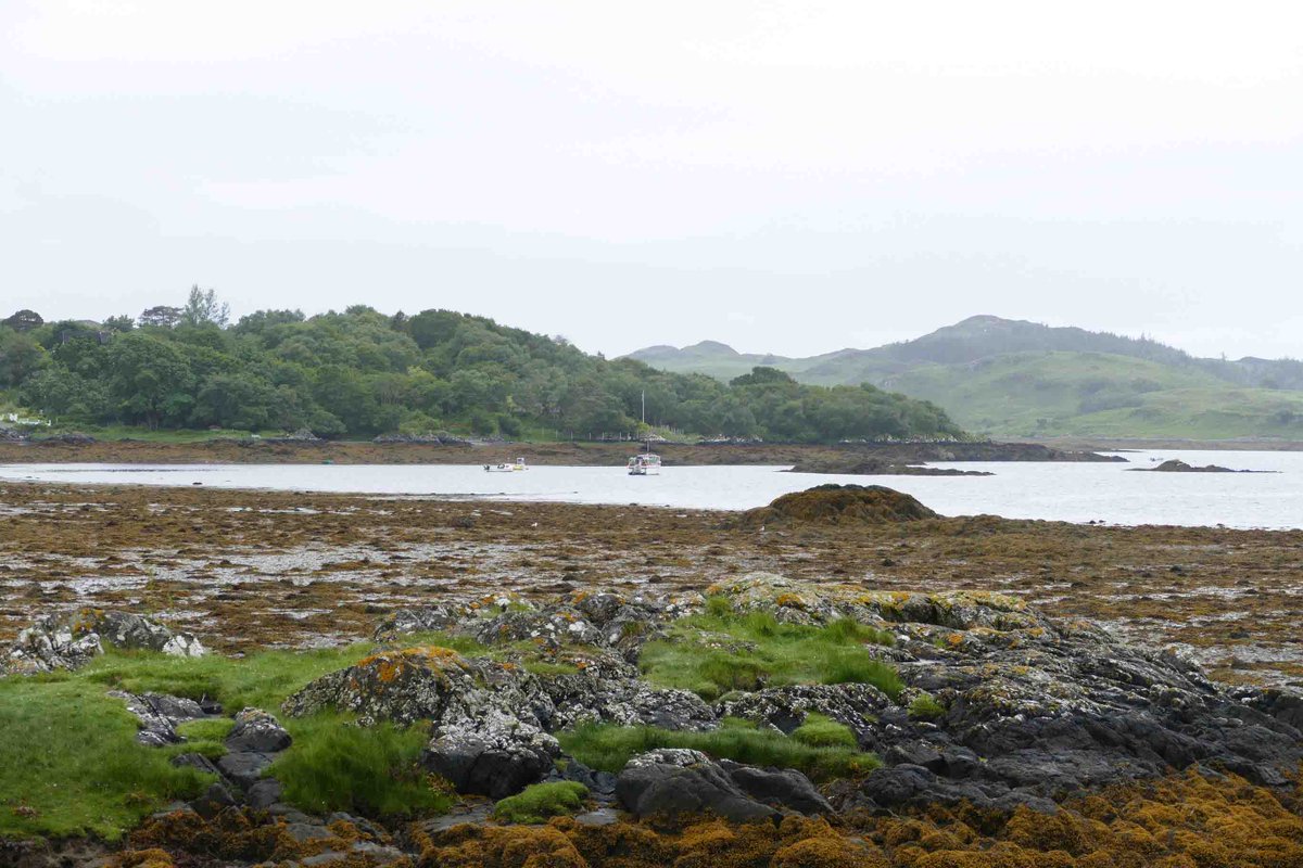 McIntyreandCoFW's tweet photo. New to Makret
Roslin, 12 Roshven View, Arisaig, Inverness-shire.
Fabulous 4 bedroom, 3 bathroom - £340,000 https://t.co/8zsrA7FOpK