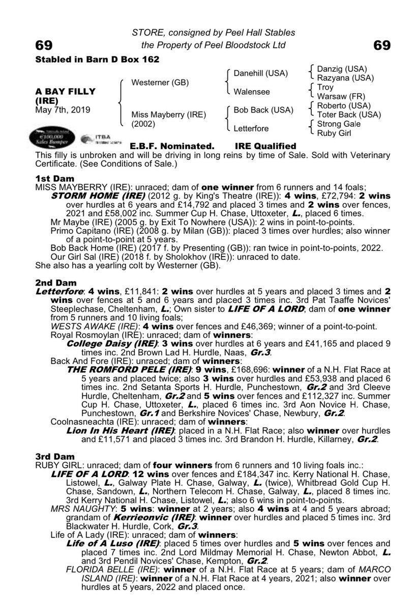 PeelBloodstock's tweet photo. Lot 69 selling Wednesday @tatts_ireland Derby Sale a gorgeous 3yr filly by @coolmorestud WESTERNER sire of last seasons @CheltenhamRaces Mares Novice hurdle winner Love Envoi &amp; half sister to @TizzardRacing STORM HOME @HarryFryRacing1 @ndfehily @DavidCrosse @TopSpeedThorou1 https://t.co/L8loku7sWc