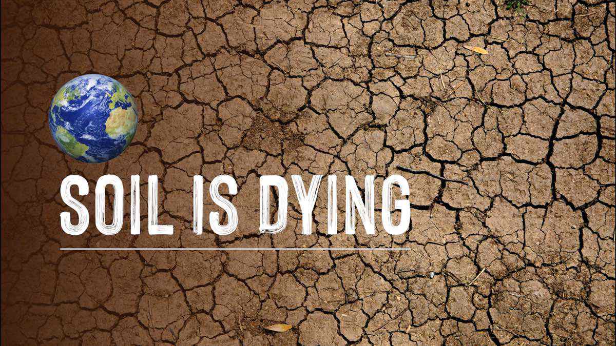 SamuelSobiya's tweet photo. #SaveSoil @SadhguruJV @cpsavesoil https://t.co/5sewN5KzEA