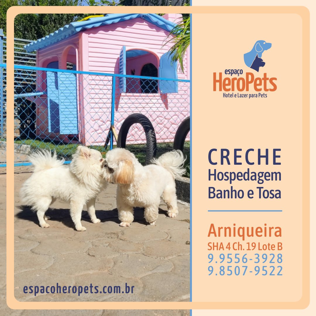 EspacoHeroPets's tweet image. Espaço para seu Pet 🐾 com estrutura para brincar e fazer amizade. Ou apenas para relaxar com um super banho. 🐶 Venha conhecer: EspacoHeroPets.com.br.