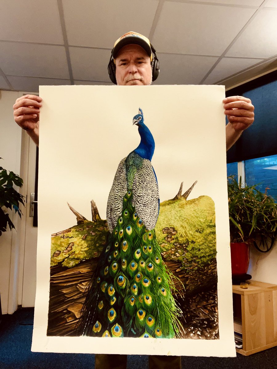AtelierGeeraets's tweet photo. Werk gemaakt. Het is een pauw.
Ik hoop dat ik u hiermee even mag storen. 

‘Fotogeniek geboren’
Aquarelverf op papier 
47 x 72 cm 

Retweet is lief. https://t.co/8tl5occM2V