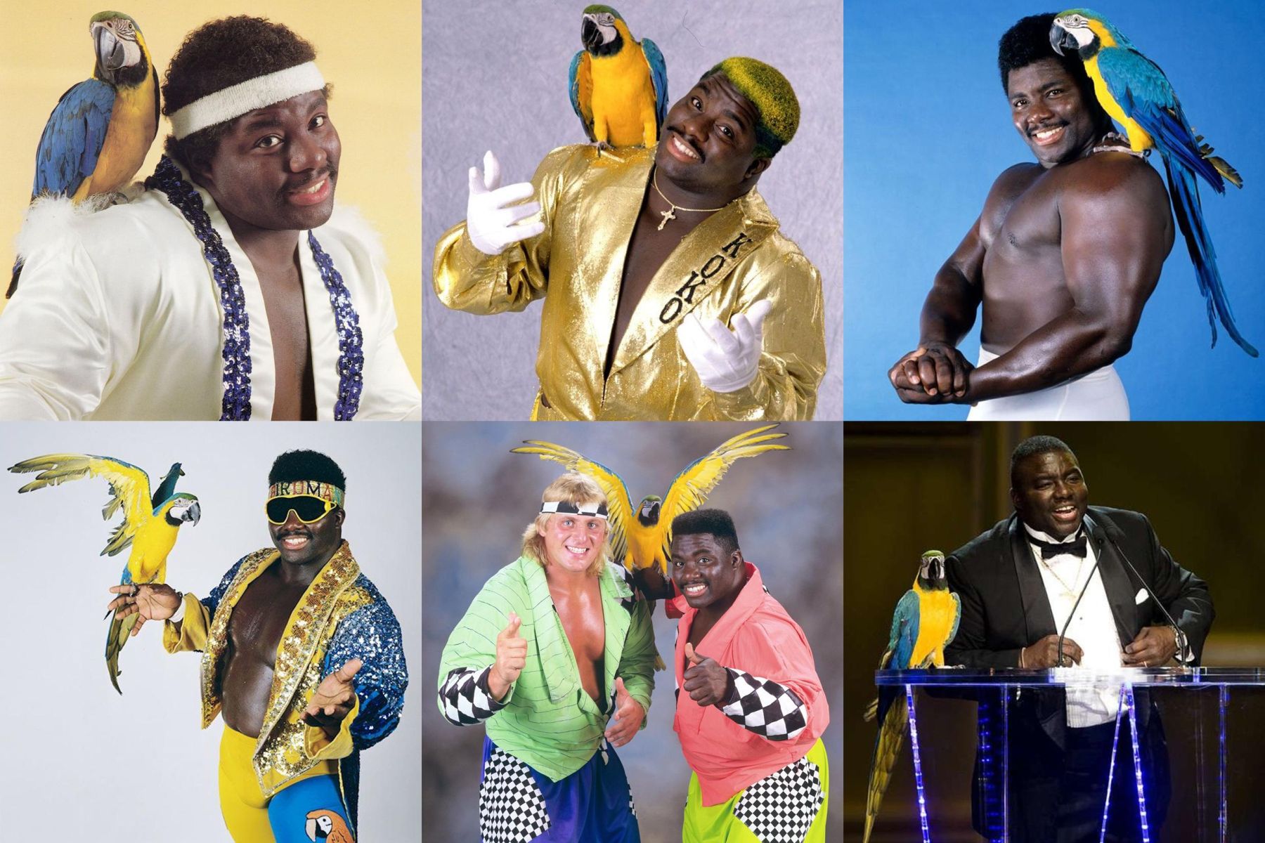 Happy 64th Birthday to Koko B. Ware!     