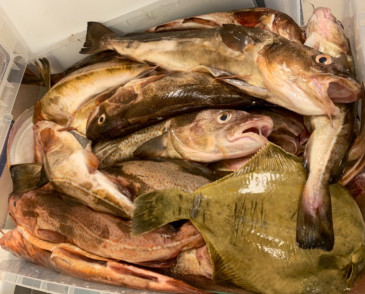 El Hombre Invisible tweet media