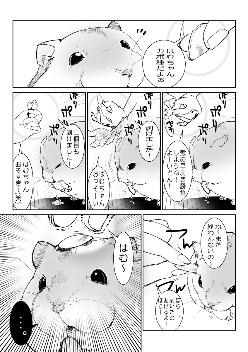 はむたんにうざ絡みしてますぅ
#ハムスター漫画 