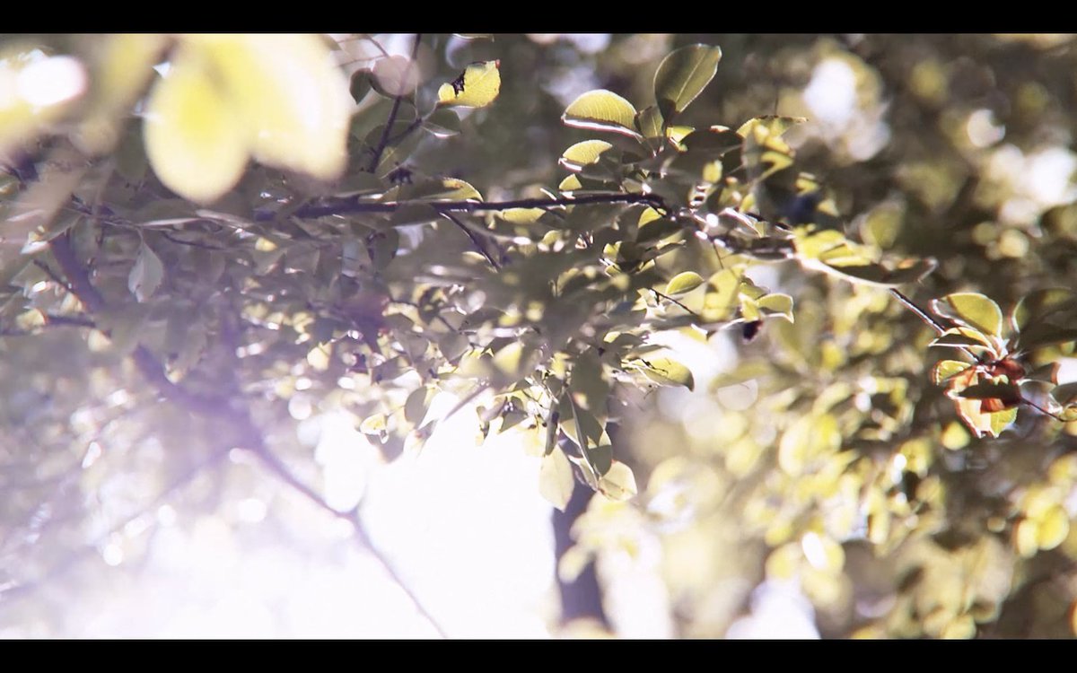 peafowlplasmonics (@peafowlplasmoni) on Twitter photo Our new video is here, enjoy! youtu.be/sQfHp-fHQyo
#peafowlplasmonics #renewableenergy #lightharvesting #photovoltaics Our new video is here, enjoy! youtu.be/sQfHp-fHQyo
#peafowlplasmonics #renewableenergy #lightharvesting #photovoltaics