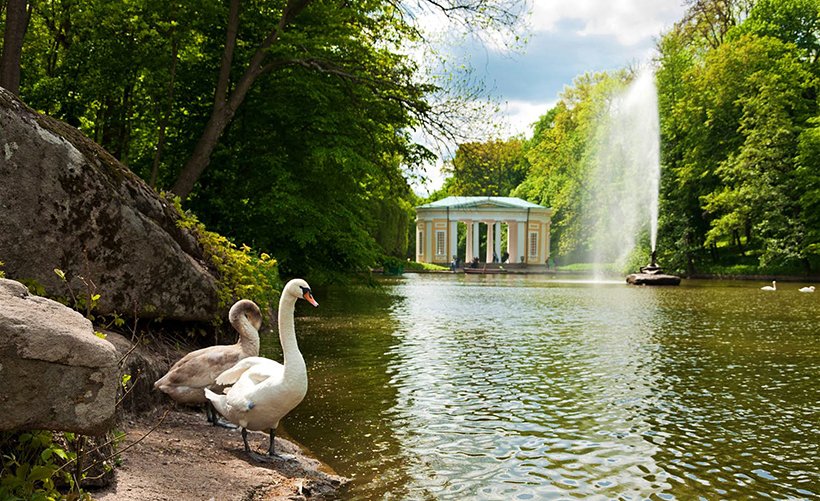 Stand with Ukraine tweet media