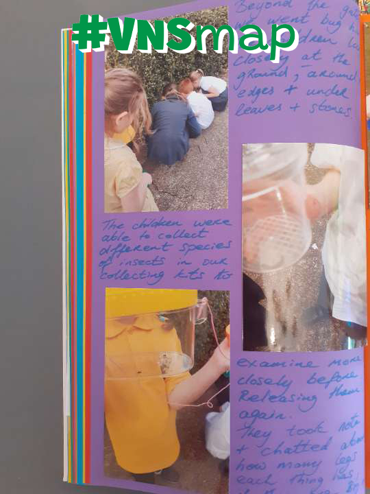 Virtual Nature School 🏴󠁧󠁢󠁳󠁣󠁴󠁿 tweet media