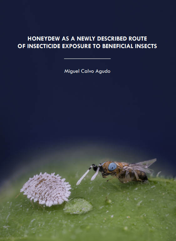 Una tesi doctoral realitzada i dirigida en l'IVIA guanya el premi “Hugo de Vries” cutt.ly/RKgJo5r

🔗La tesi està disponible en ReDivia, el repositori institucional de l'IVIA cutt.ly/WKgJhWJ
