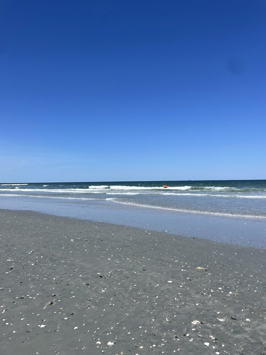 Bridget_NewGirl's tweet photo. A very Happy, service Dog named River who is enjoying his best life on vacation at Litchfield Beach 🏖. https://t.co/hPURC6jIAA