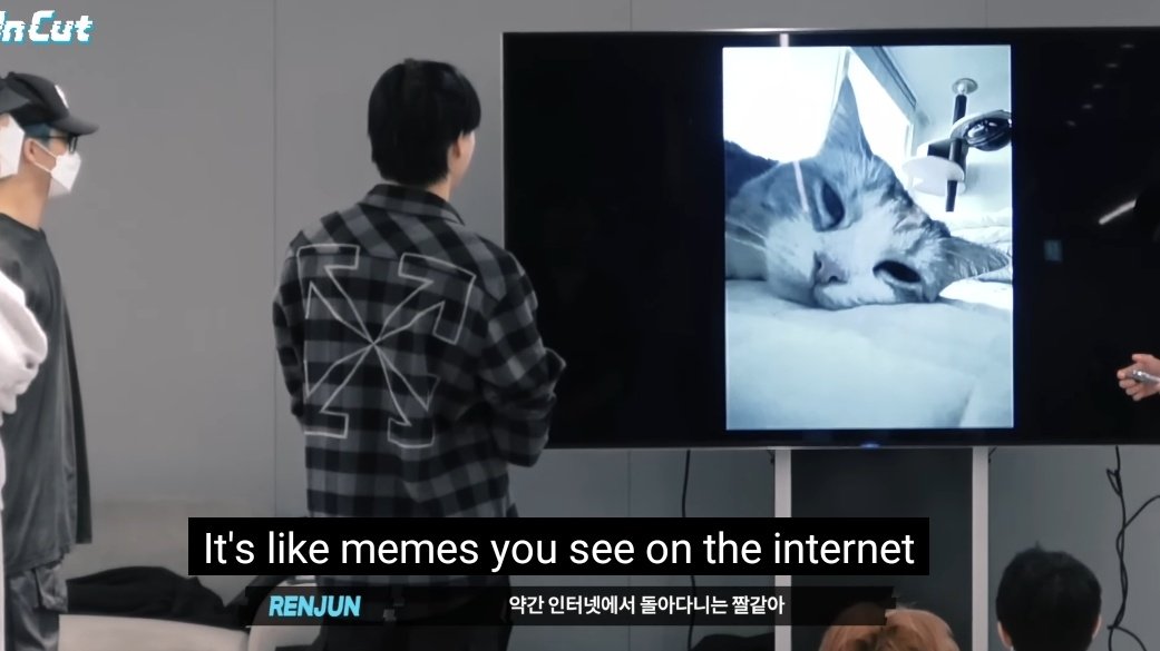 mfaljen's tweet image. nct dream just a bunch of catboys