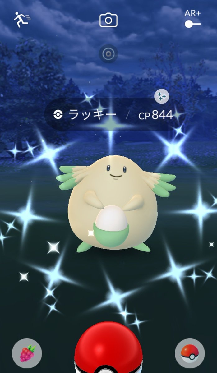 CHIGA_LEMON's tweet photo. ミュウツーのレイドがタイミング合わなくて参戦できず落ち込んでいたのだが急にラッキーの色違いきて( ꒪ͧ⌓꒪ͧ)ﾊｯ!
 #ポケモンGO色違い https://t.co/7MuZwYuukM