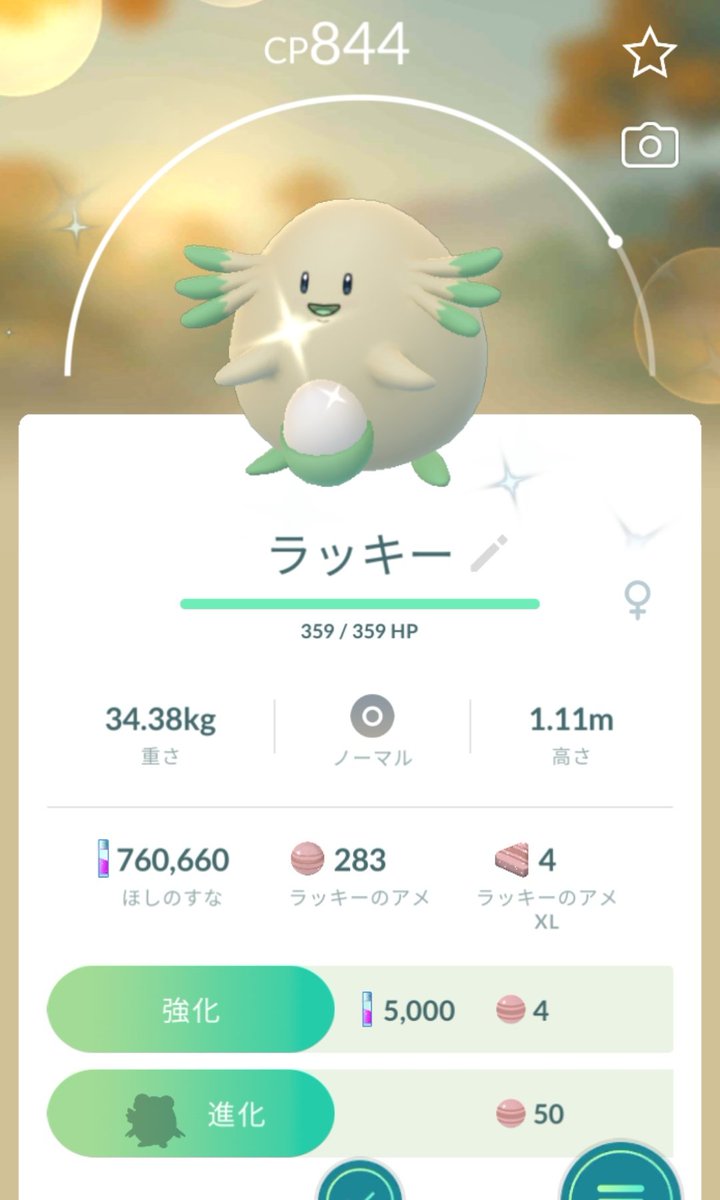 CHIGA_LEMON's tweet photo. ミュウツーのレイドがタイミング合わなくて参戦できず落ち込んでいたのだが急にラッキーの色違いきて( ꒪ͧ⌓꒪ͧ)ﾊｯ!
 #ポケモンGO色違い https://t.co/7MuZwYuukM