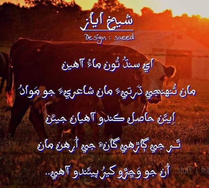 shar_sharafat's tweet photo. #JusticeForAshfaqShar https://t.co/zTuKg0ErCE