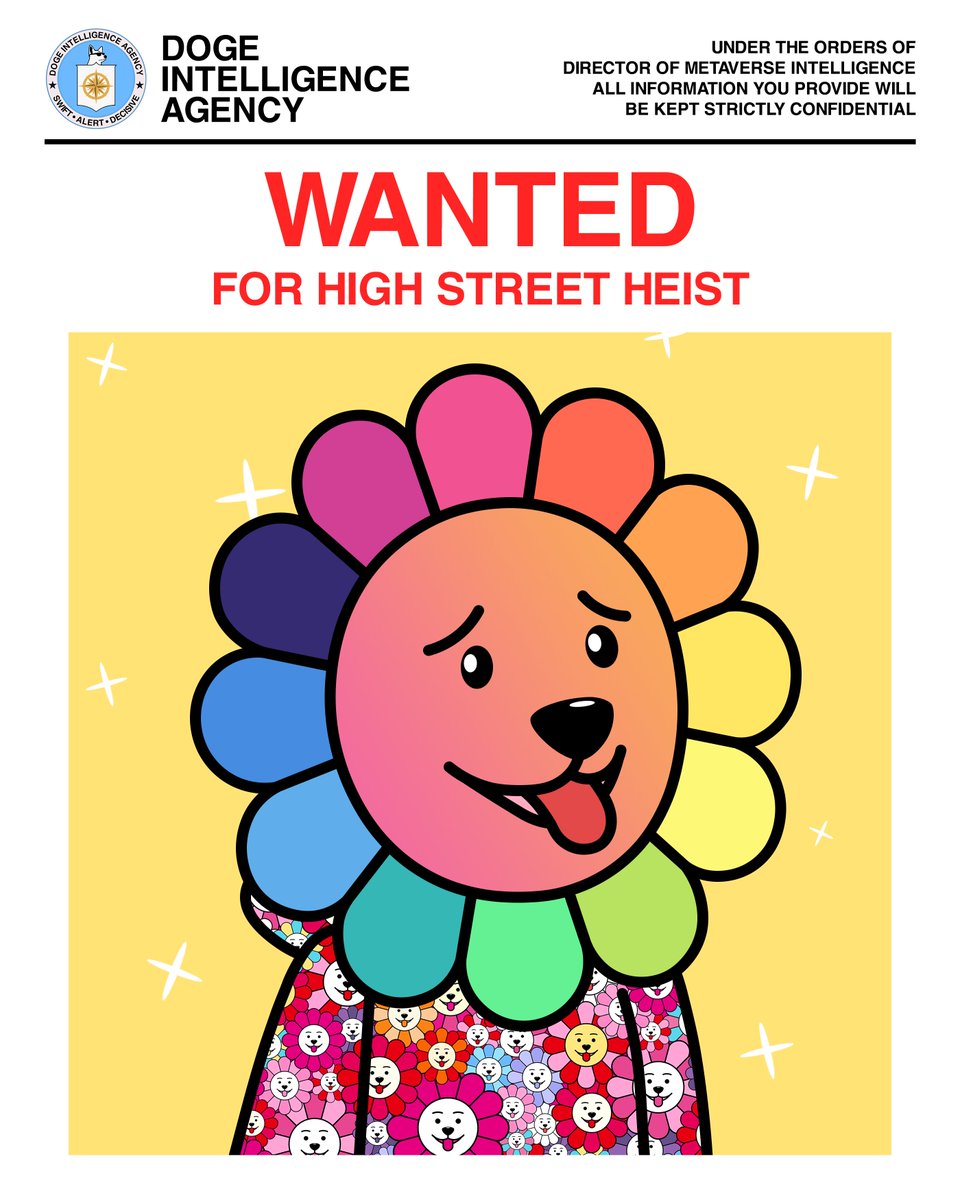 Dodgy Doges (DD) tweet media